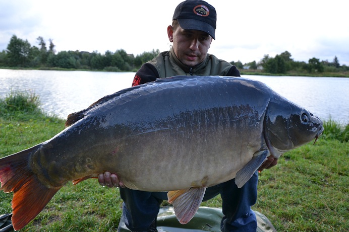 19-40kg